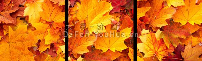 组合装饰画-枫叶图片